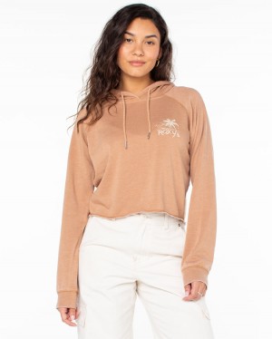 Women Roxy® We Arrived Cropped Hoodie Brown | IOSF-61592