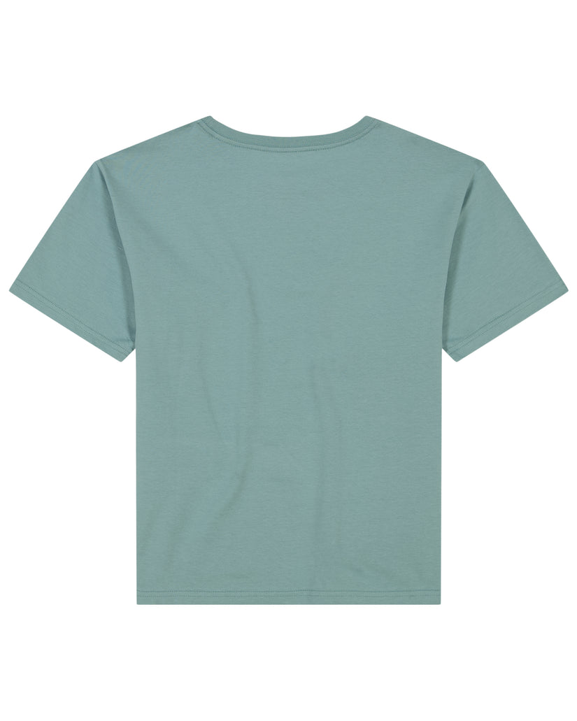 Girls's Roxy® Alpine Paradise Oversized T-Shirt Green | JQVZ-85207