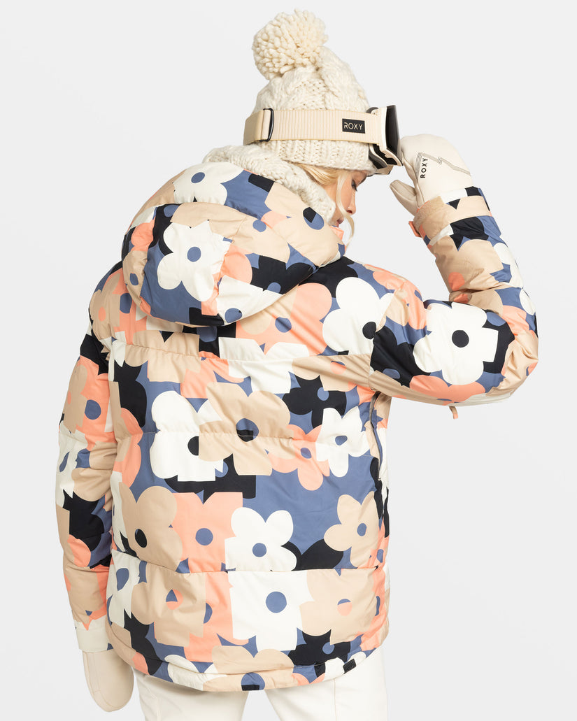 Women Roxy® Alofted Snowboard Jackets Multicolor | NGUP-04598