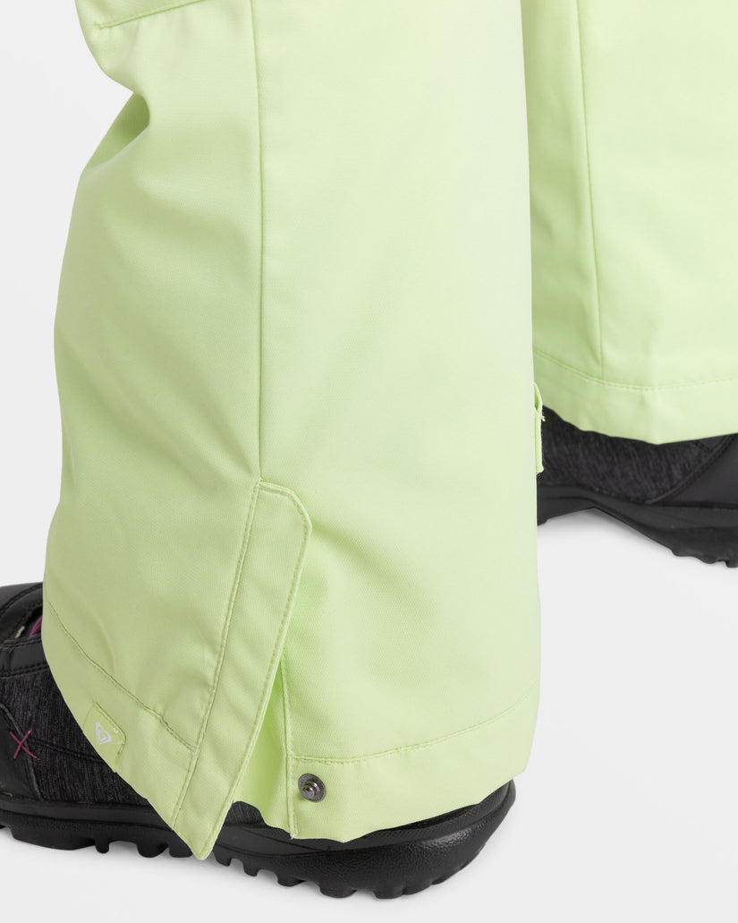 Women Roxy® Diversion Snowboard Pants Green | BTZG-72958