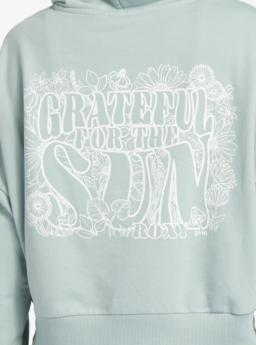 Women Roxy® Onshore Hoodie Blue | LPMH-36875