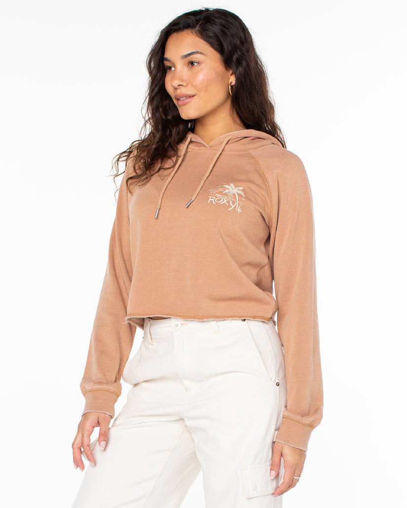 Women Roxy® We Arrived Cropped Hoodie Brown | IOSF-61592